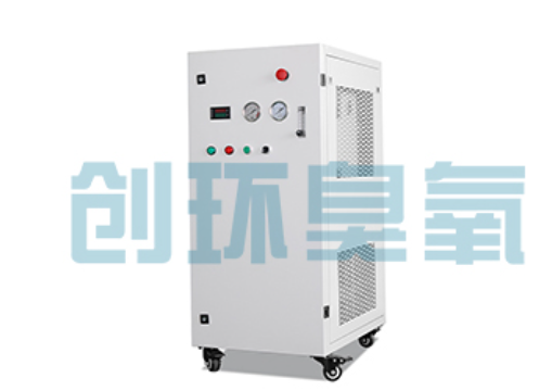 怀柔石斑鱼养殖水质调控完整指南：臭氧发生器配置与操作步骤