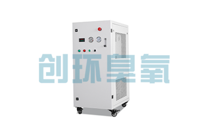 怀柔比传统换水更高效？臭氧发生器在石斑鱼养殖中的水质净化原理解析